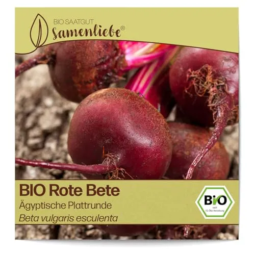 Samenliebe BIO Rote Bete Samen alte Sorte Ägyptische Plattrunde Beete Rüben 150 Samen samenfestes Gemüse Saatgut für Gewächshaus Freiland und Balkon BIO Gemüsesamen