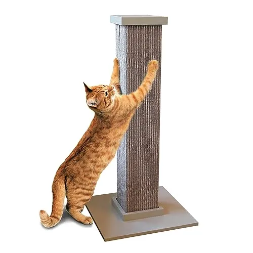 SmartCat Pioneer Pet Ultimate Kratzbaum, Grau, 32 Inch (Pack of 1)