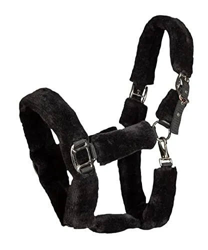 Back on Track Audrey Halfter, Full in schwarz von Back on Track