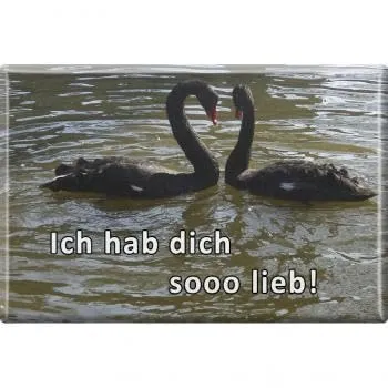 Magnet - Ich hab Dich so lieb - Schwäne - Gr. ca. 8 x 5,5 cm - 38853 - Küchenmagnet