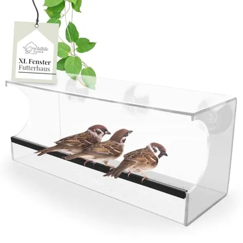 Fenster-Futterhaus Family - Robustes Acryl mit großer Futterkapazität - Vogelhäuser: Das Fenster-Futterhaus Family aus wetterfestem Acryl bietet eine großzügige Futterkapazität und ermöglicht das Beobachten von Wildvögeln direkt vor Ihrem Fenster.