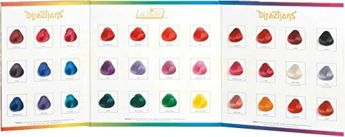 La Riche Directions Farbsträhnenkarte