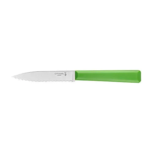 Opinel 254590 Küchenmesser, Kunststoff, grün