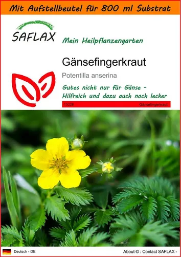 SAFLAX Blumensamen SAFLAX