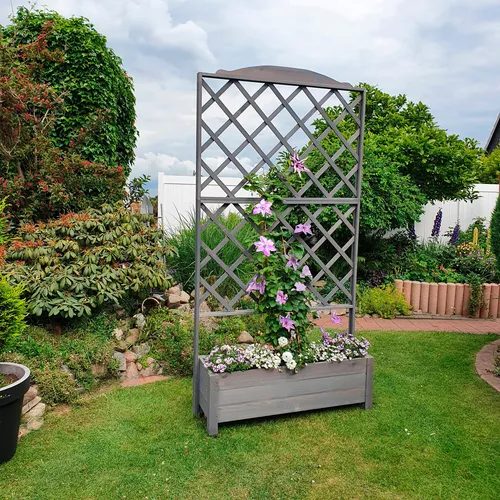 promadino Rankhilfe Botanica