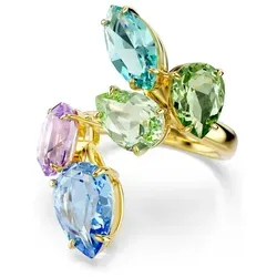 Swarovski Gema Motivring mit verschiedenen Schliffen von Swarovski