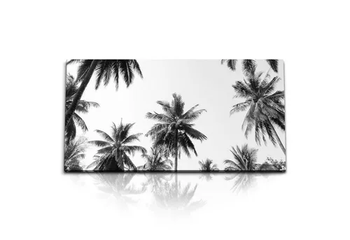 Sinus Art Leinwandbild Kunstdruck Bilder 120x60cm Palmen Palmblätter Schwarz Weiß Himmel Kuns, (1 St)