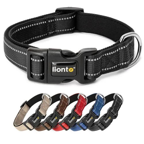 lionto Halsband gepolstert Nylon Neopren reflektierend, Größe XS, schwarz
