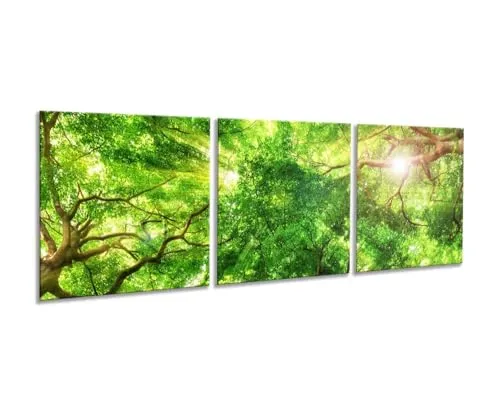 artissimo, Glasbild mehrteilig XXL, 3-teilig ca.150x50cm, AG5287A, Wald Bäume Lichtung, Bild aus Glas, 3-Teiler, moderne Wanddekoration aus Glas, Wandbild, Wohnzimmer modern, grün