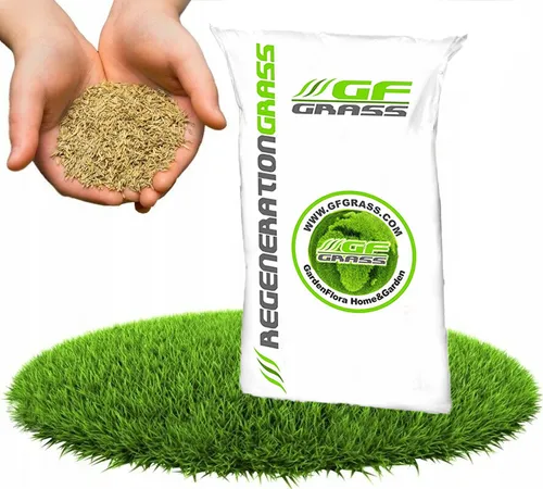 Rasensamen GF Regeneration Grass 1kg Nachsaat Rasen Grassamen Rasensaat Saatgut Grassaat Gras