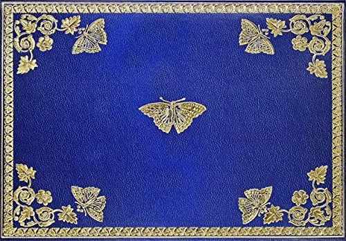 Gilded Butterflies Note Cards