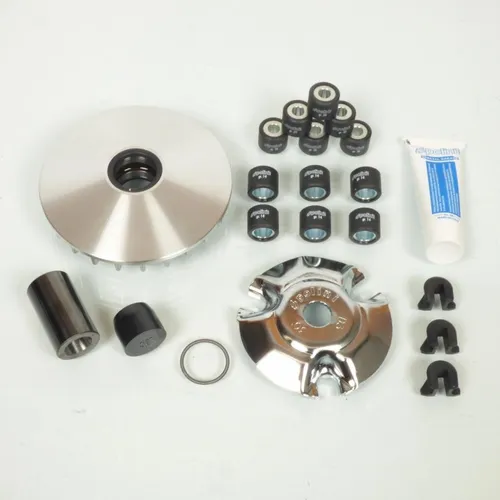 Polini Variator für Piaggio 300 MP3 (2010-2020)