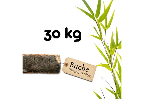BooGardi Kaminholz Feuerholz 30 kg - Hartholz aus Buche, Eiche und Kiefer - Hochwertiges Brennholz für gemütliche Abende, 100% regional aus Niedersachsen. Ideal für Kamin, Kachelofen oder Feuerschale, frei von Schädlingen und Pilzen.