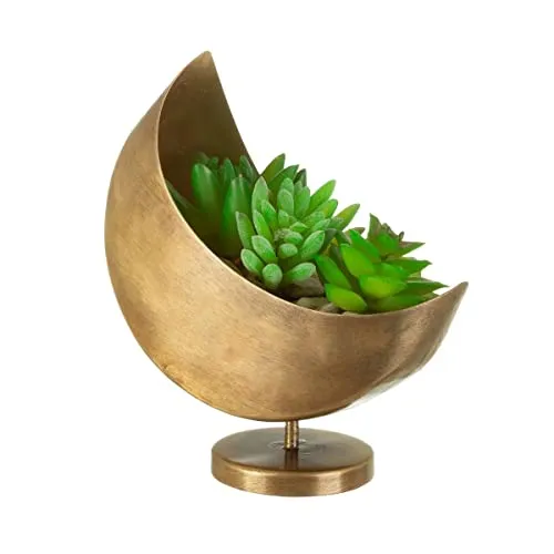 Sass & Belle Mini Celestial Moon Planter in gold von Sass & Belle
