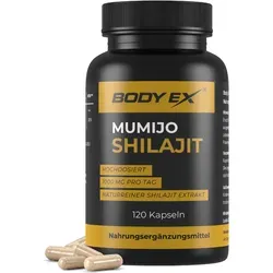 Body Ex® Mumijo Shilajit Kapseln, hochdosiert 1000mg pro Tagesdosis, das Original aus dem Himalaya, 80% Fulvinsäure, 120 Kapseln, vegan