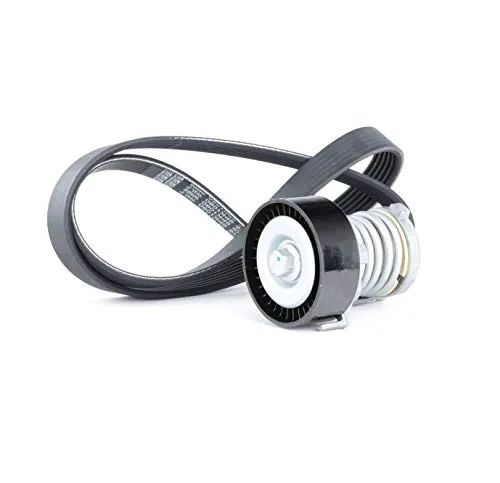 RIDEX Keilrippenriemensatz 542R0134 Golf IV Schrägheck (1J1) POLO (9N_) 1080mm