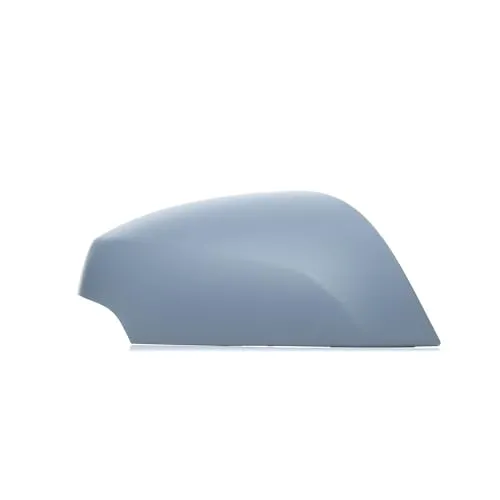 Blic Gehäuse, Außenspiegel 6103-01-1325220P