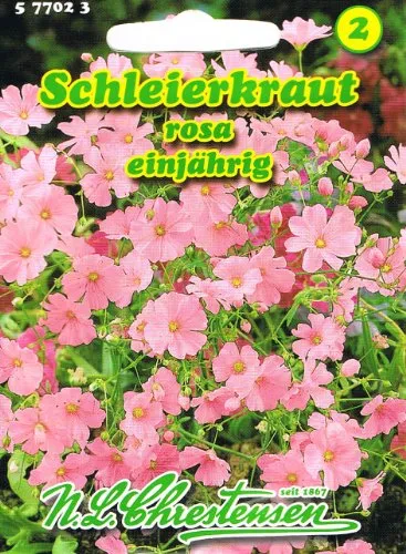 Schleierkraut Rosa einjährig 'Gypsophila elegans'
