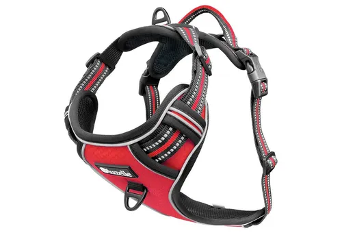 bluzelle Hundegeschirr für kleine Hunde, Reflektierendes Anti-Zug Brustgeschirr - Sicherheitsgeschirre für Hunde mit effektiver Anti-Zug Funktion und praktischer GPS-Tasche für sichere Aufbewahrung. Atmungsaktives Design für höchsten Komfort und Sichtbarkeit bei Nacht.