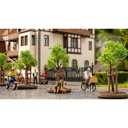 NOCH 21538 Baumpackung Jungbaum 40cm - 6 Stück mit Baumstützen, ideal für stabile Landschaftsgestaltung und Schutz junger Pflanzen