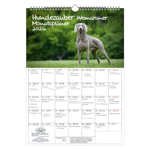 Hundezauber Weimaraner Planer DIN A3 Kalender für 2026 Welpen und Hunde - Seelenzauber