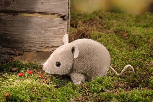 Kösen 7430 Maus 10 cm - Wald & Wiese, niedliche graue Maus in handlicher Größe, perfekt zum Kuscheln und Spielen für Kinder.
