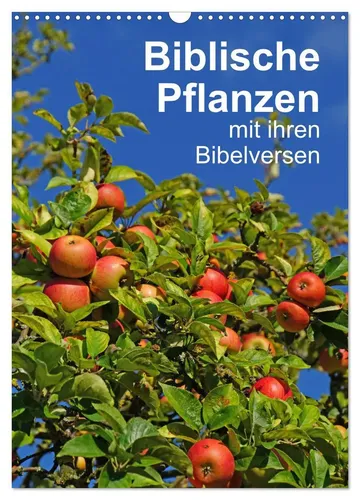 Biblische Pflanzen mit ihren Bibelversen - Wandkalender 2025 von Hans-Georg Vorndran - Kalender mit 14 Seiten, präsentiert eine Auswahl biblischer Pflanzen und ihre Verse, ideal für Religion und Theologie Liebhaber.
