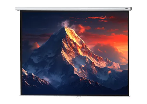 Celexon Economy Rolloleinwand 300 x 225 cm