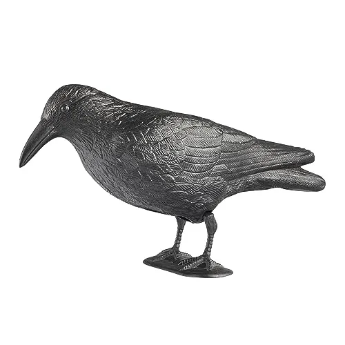Windhager Gartenfigur Rabe - Täuschend echte Krähe zur Taubenabwehr, wetterfest und dekorativ für Garten und Terrasse