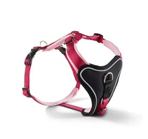 Wolters Hunde-Geschirr Professional Comfort in Himbeer/Rosé - Weiteres Autozubehör mit extra dicker Polsterung für optimalen Tragekomfort und perfekte Passform, ideal für sicheres Anleinen und Kontrolle beim Spaziergang.