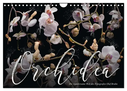Olaf Bruhn | Orchidea (Wandkalender 2026 DIN A4 quer), CALVENDO Monatskalender