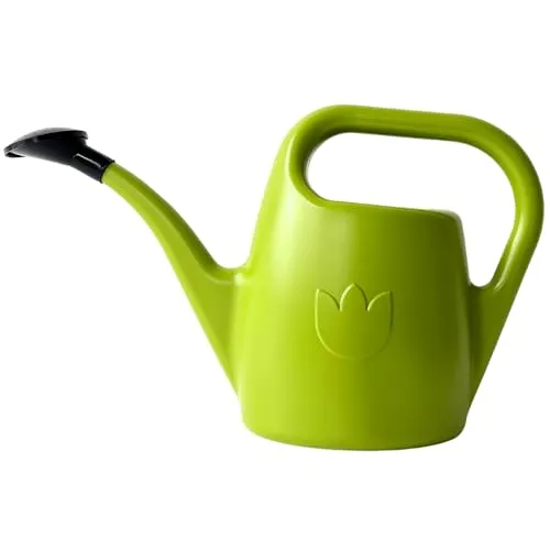 Plastia Gartengießkanne mit dem Brausekopf, 2L - Gießkanne aus Hochwertigem Kunststoff - Handliche Giesskanne für Innen- und Außenbereich - Ideal für Bewässerung für Zimmerpflanzen, Hellgrün