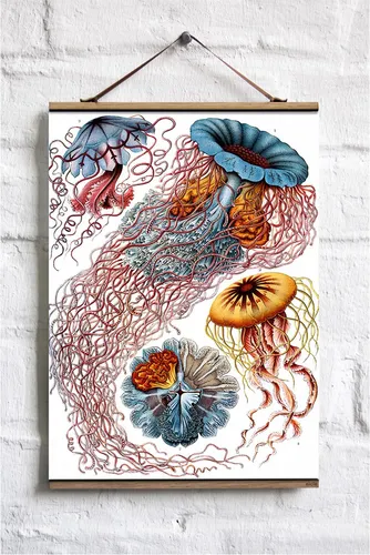 eicie Ernst Heinrich Philipp August Haeckel Poster No 05