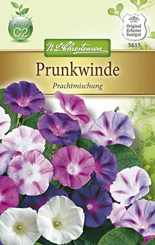 Chrestensen Prunkwinde 'Prachtmischung'