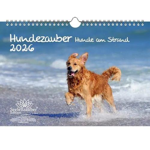 Hundezauber Hunde am Strand DIN A4 Kalender für 2026 Welpen und Hunde - Seelenzauber