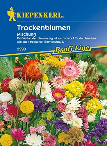 Trockenblumen-Mischung