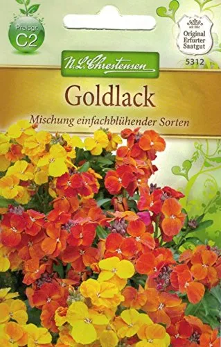 Chrestensen Goldlack 'Mischung einfachblühender Sorten'