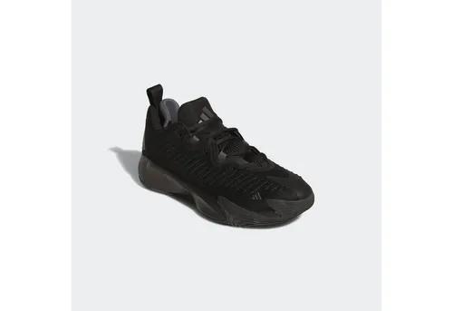 adidas Performance ADIDAS INITIATION Basketballschuh