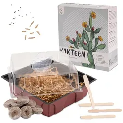 HappySeed Blumensamen Kakteen Starter Kit - Gewächshaus & Samen (Wüstenrose + Leb. Granit), Kakteen bunt