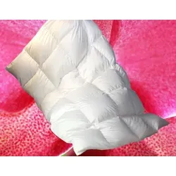 Betten Hofmann Luxus Daunenbett 135x220 cm - Bettbezüge: Hochwertige Gansjahresdecke mit 100% Daunen, waschbar bis 60°C und ideal für ganzjährige Wärme. Perfekt für erholsamen Schlaf!