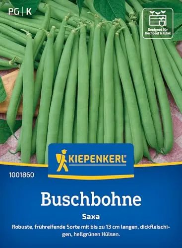 Kiepenkerl Buschbohnensamen Saxa 1001860 - Gemüsesamen für robuste Bohnen mit bis zu 13 cm langen Hülsen und Inhalt für 6 bis 8 lfd. Meter - Saatgut