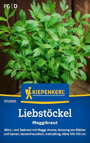 Kiepenkerl Liebstöckelsamen Maggikraut 1012900 - Würz- und Teekraut - Mehrjährig - Höhe 100-150 cm - Inhalt für 50 Pflanzen - Kräutersamen, Samen Kräuter