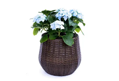 Elegant Einrichten Pflanzkübel Elegant Einrichten Pflanzkübel Polyrattan Rund-Konisch D35xH32cm Mocca (1 St)