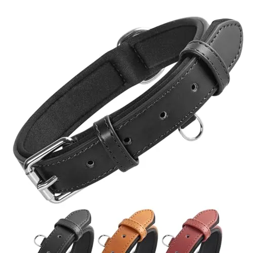 Grand Line Leder Hundehalsband, Lederhalsband Hund mit Weichem Gepolstertes, Breiter und Dicker Hundehalsband, Verstellbares Halsband Hunde für Kleine, Mittlere, Große Hunde (Schwarz, S)
