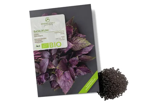 Growgreens Kräutersamen BIO Basilikum Samen Rot - Küchenkräuter Saatgut bio. Anbau (400 Korn)