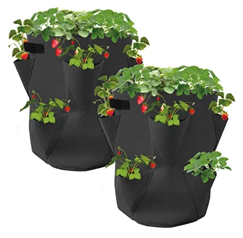 Spetebo Erdbeer Pflanzsack 2er Set aus Filz - 45 x 35 cm - Pflanzbeutel für Erdbeeren und Kleingemüse - Garten Balkon Pflanzen Tasche Sack Beutel für Erdbeeren Knoblauch Zwiebeln Kräuter