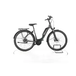 FALTER E9.3 FL City E-Bike Tiefeinsteiger