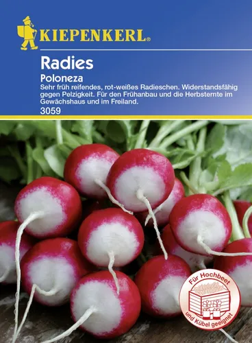 Kiepenkerl Radieschen Poloneza ca. 10 lfd. Meter