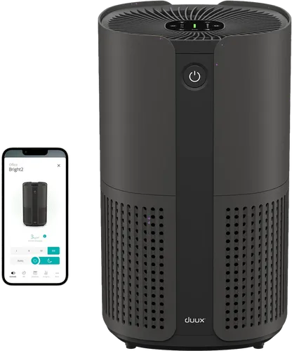 Duux Bright 2 Smart DXPU08 Schwarz in schwarz von Duux