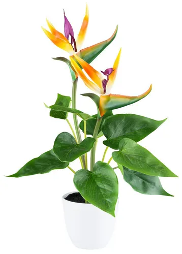 Kunstpflanze Strelitzia, Creativ green, Höhe 42 cm, mit 2 Blüten